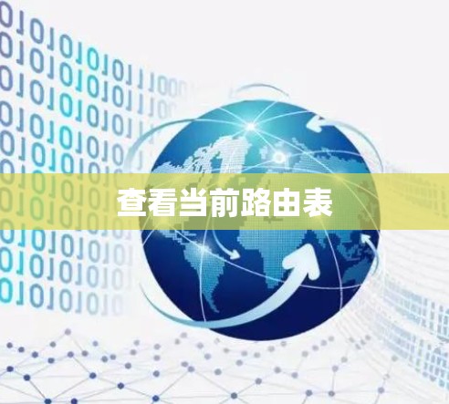 查看当前路由表